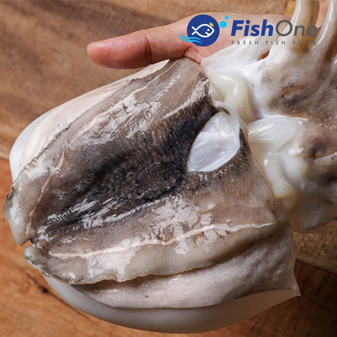 [피시원] 이력추적 국산 손질 갑오징어(특) 3kg(7-10미)냉동, 단품, 단품