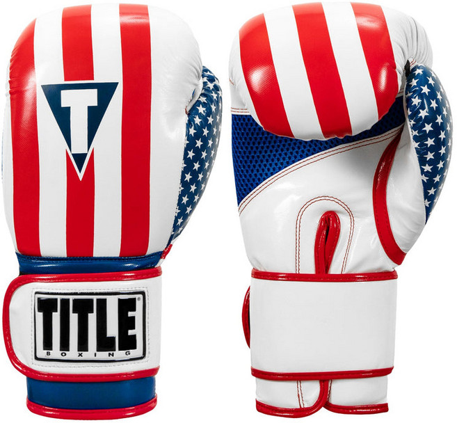 타이틀 인퓨즈드 폼 컴뱃 복싱글러브 양손 세트, 1세트, 01. USA