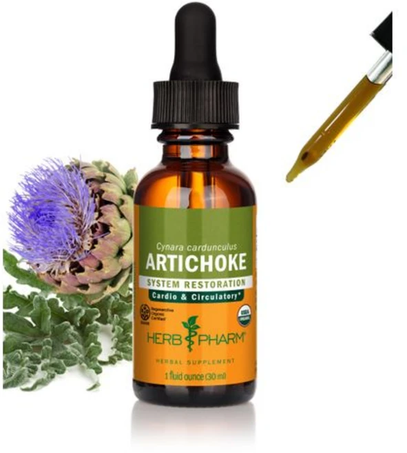 허브 팜 유기농 인증 아티초크 액상 추출물 심혈관 및 순환 Herb Pharm Certified Organic Artichoke Liquid Extract for Cardiova, 1 Fl Oz (1팩), 1개, 30ml - 쿠팡
