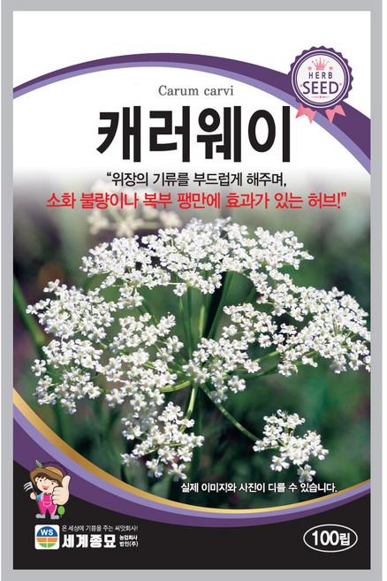 주주씨앗 김장 채소 씨앗 모음 / 배추 무 당근 알타리 갓 엇갈이 양파 종자 씨