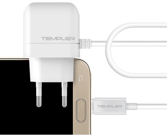 TEMPLER 템플러 1500mA 가정용 5핀 충전기 화이트, 흰색, 1개