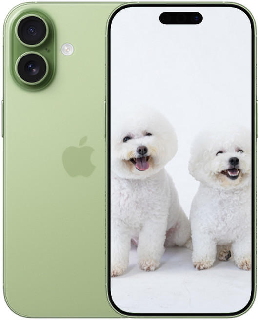 i폰 17 새상품 미개봉, 256GB, Sage