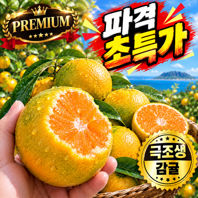 [초특가] 극조생 제주 감귤 고당도 산지직송, 1박스, 3kg