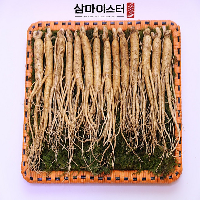 금산인삼 삼마이스터 5년근 6년근수삼 업소용 가정용 삼계용인삼700g 삼계탕인삼, 700g, 1개, 소삼계 700g(46-65뿌리), 1.세척안한 인삼