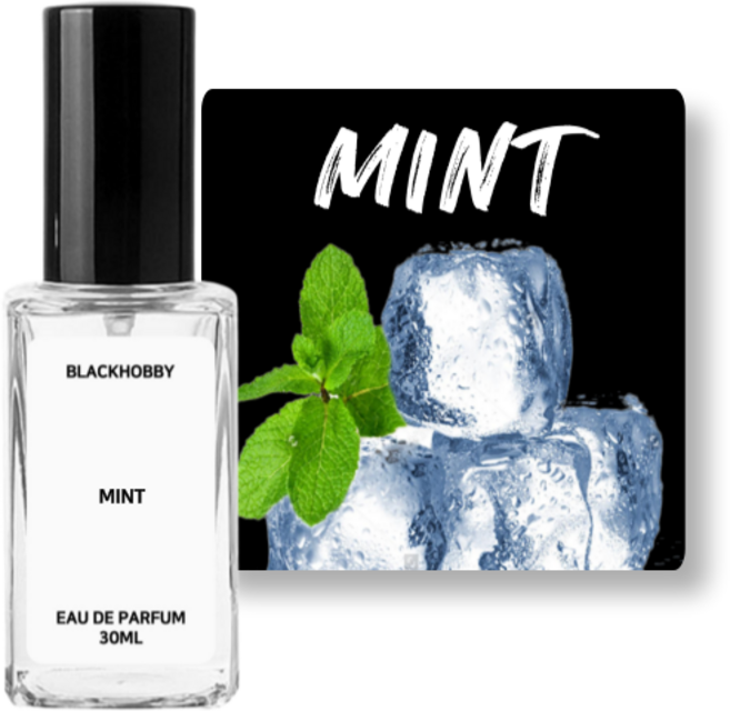 [3+1] 블랙하비 민트향 베스트 10종 고농축 드레스퍼퓸 / 사탕수수 발효 베이스 사용, 1개, 30ml, 084. 로즈마리