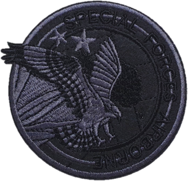 SPECIAL FORCES EAGLE 자수와펜/패치, 02) 블랙(BLACK) 자수와펜/패치, 1개