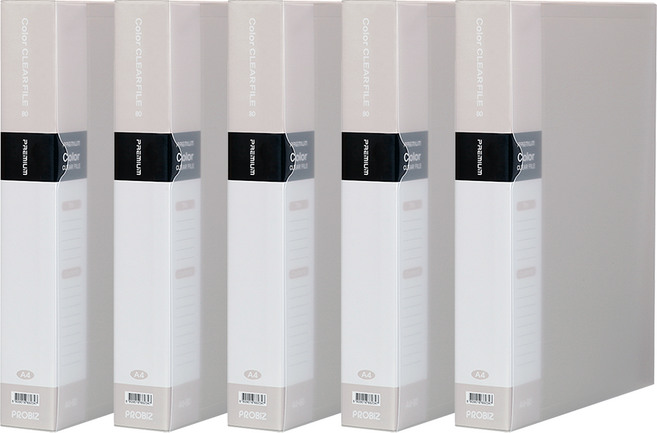 프로비즈 프리미엄 인덱스 클리어파일 A4 80매, 5개, 회색