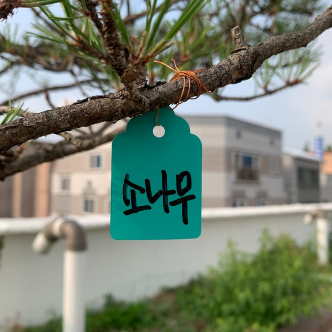 정원 식물 명찰 걸이형 태그 100매