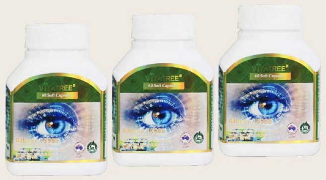 V-Tree 안토시아노사이드 빌베리 열매 추출물 분말 캡슐, 60정, 3개