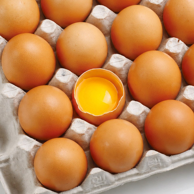 셰프의계란 무항생제 무정란 특란 국산 HACCP 인증 신선계란, 2개, 30구