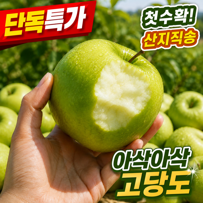 [단독특가] 고당도 산지직송 썸머킹 아오리사과 청사과, 1박스, 2kg