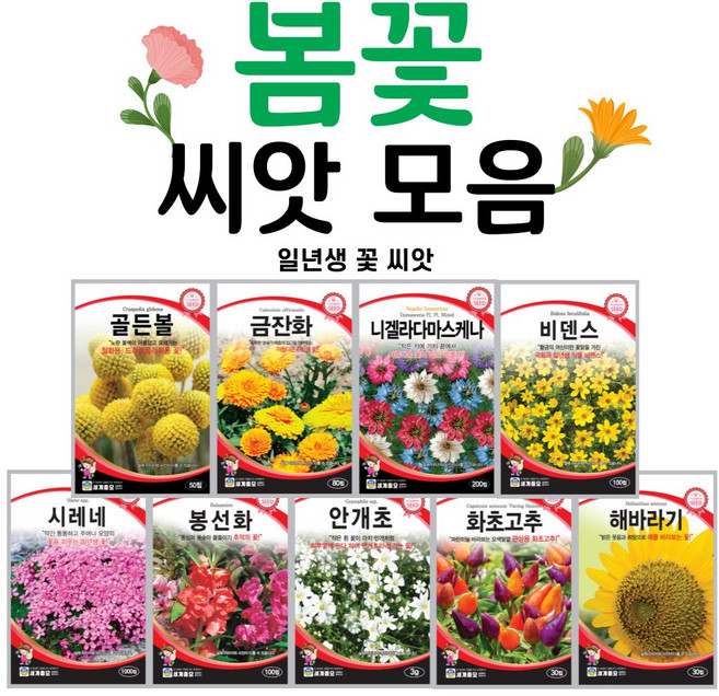 화훼류))인기 꽃씨앗모음전 / 세계종묘 / 일년생 꽃씨앗 노지 야생화, 83. 히비스커스 10립, 1개
