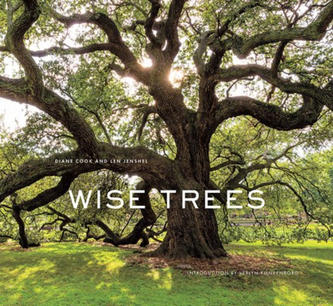 (영문도서) Wise Trees Hardcover, ABRAMS, English, 9781419727009