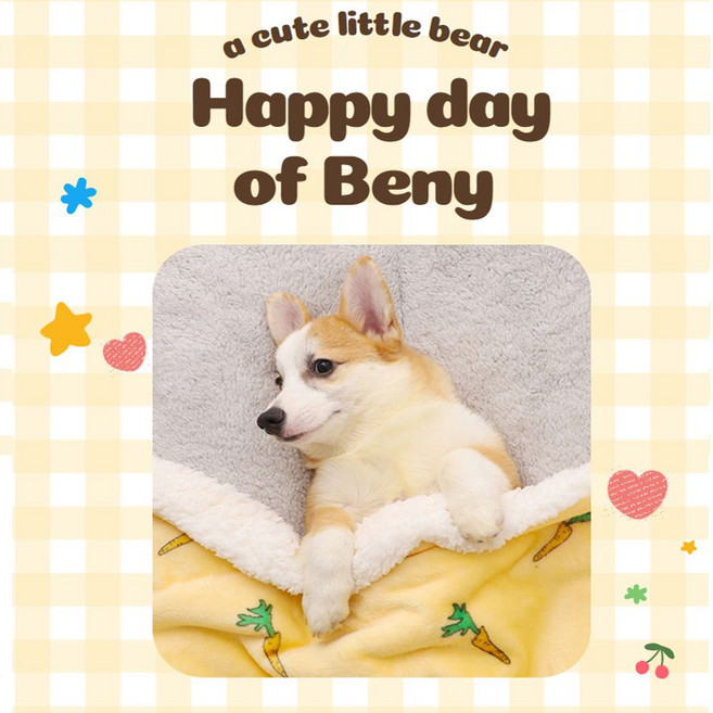 강아지 포근 극세사담요 따뜻포근 따뜻 담요 극세사 반려견 이불 반려동물, 본상품