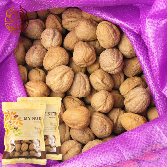 바이킹푸드 피호두 1kg(500g X2개) / 25년11월 햇호두 통호두 부럼, 2개, 500g