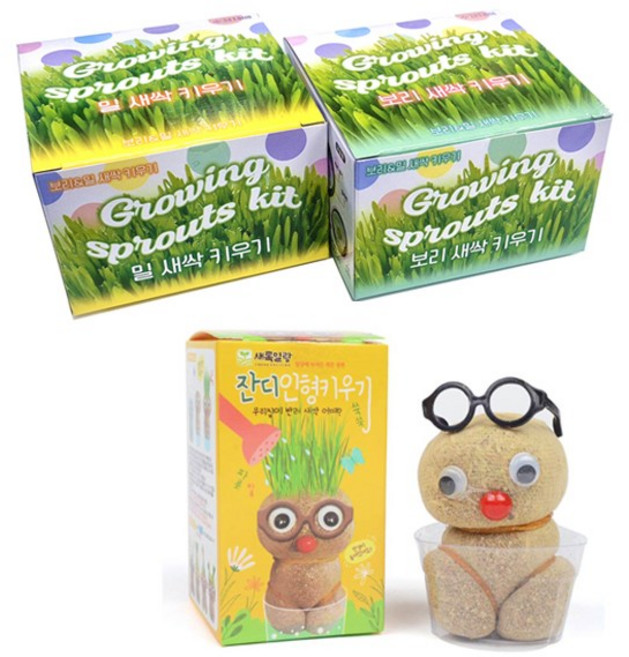 잔디인형 키우기 새싹 화분 만들기 식물키트 식목일 과학실험, 1개