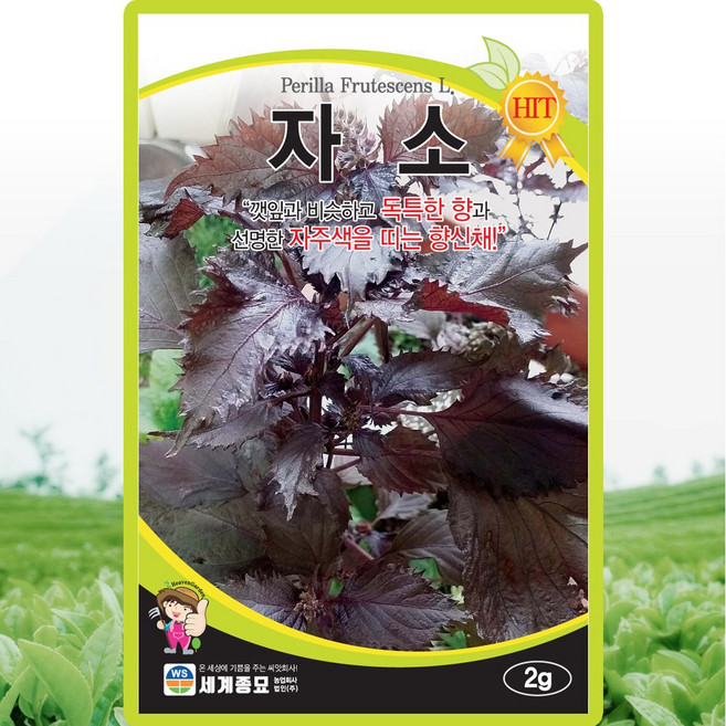 세계종묘 자소 2g, 2개