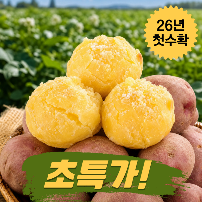 [26년 첫수확한정] 초특가 국내산 홍감자 카스테라 프리미엄 햇 감자, 1박스, 3kg(대)