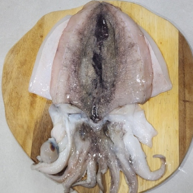 국내산 반건조 갑오징어, 1박스