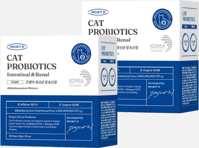 [냉장배송] 프로젝트21 고양이 유산균 장 신장 신부전 영양제 변비 설사, 장건강/유산균, 60개