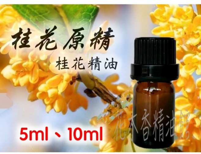 桂花原精 精油, 1個, 10ml