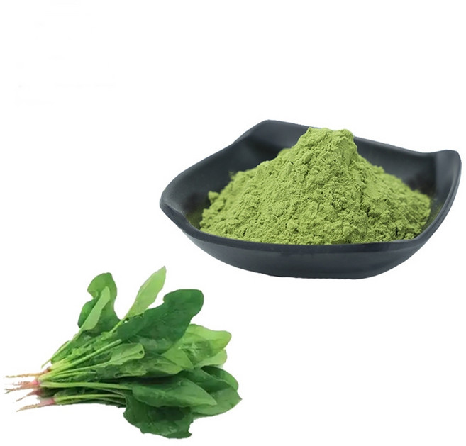 시금치추출분말 100g 샘플, 1개, 단품