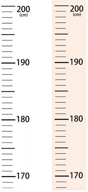 200cm 심플 키재기 스티커 자 성장기록 무타공, 투명 1개