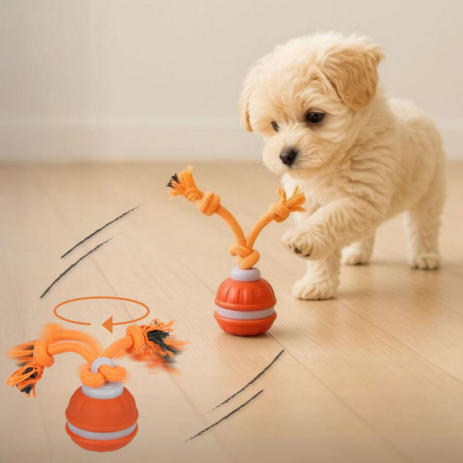 댕냥픽 터그볼 움직이는 장난감 강아지 터그 공, 오렌지, 1개