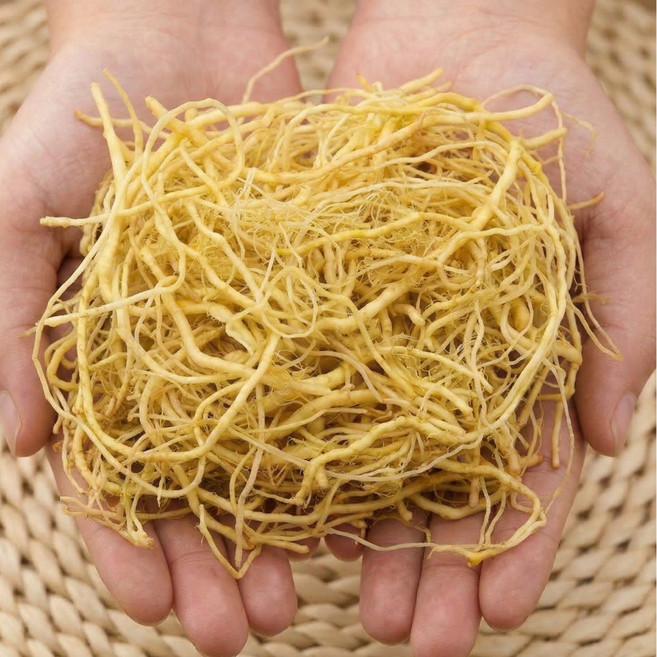 [백화점납품용] 국내산 더좋은 씀바귀 약재, 1개, 400g