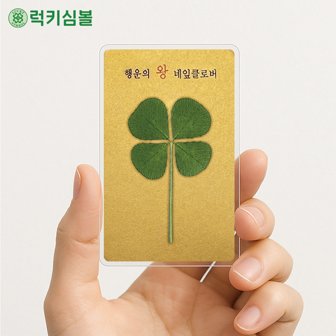 [럭키심볼] 골든 럭 행운의 왕 네잎클로버생화 황금 코팅카드+황금봉투 세트 /행운카드/행운부적/행운선물/고객관리선물/사은품/판촉물, 01.왕네잎 황금코팅카드+봉투세트 1장