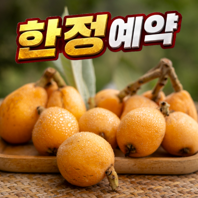 8위 - [100박스한정예약] 당일수확 국내산 비파 열매, 1박스, 1kg