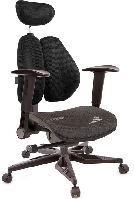 GXG 高雙背人體工學電腦椅 TW3076 摺疊升降扶手, 素黑色