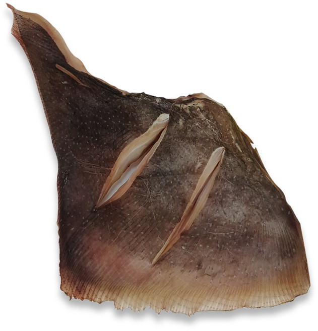 [나주수산] 반건조홍어 날개 아르헨티나 건조전 800g 이상, 1개