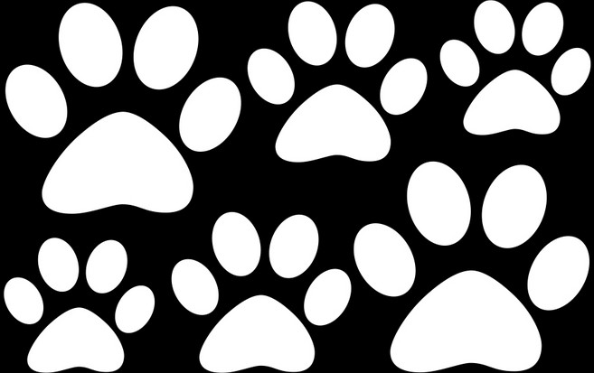 1+1 곰발바닥 자동차 튜닝 스티커 승용차스티커 데칼, 1개, 화이트