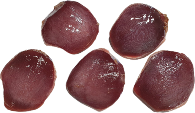 한결컴퍼니 생 오리근위 1kg 냉동 손질 냉동 오리고기 수제간식재료, 1개