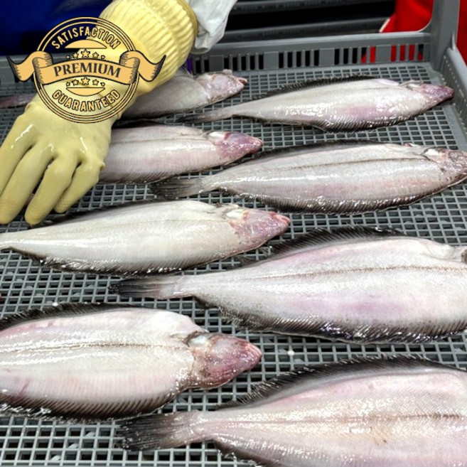 [재구매율이 높은] 국내산 동해안 기름 가자미 반건조 손질 가자미 용가자미 생선 구이, 1박스, 30미 (20cm 내외)