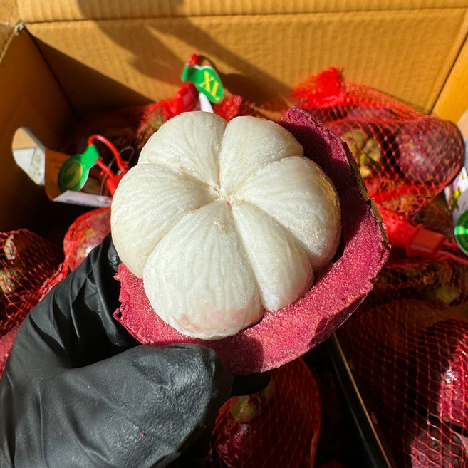 생 망고스틴 태국 망고 스틴 생과 열대과일 현지 맛 그대로 1kg 2kg, 생망고스틴 1kg(8~14과), 1개