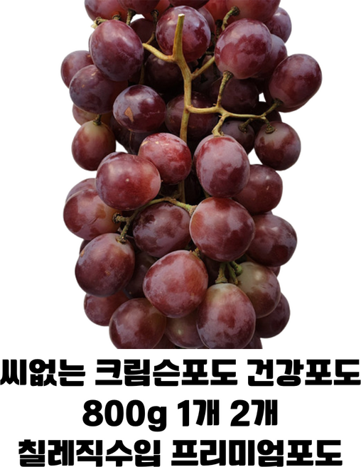 칠레산 씨없는 포도 800g 1개 2개/ 천혜의 자연환경에서 재배한 크림슨포도 최고의 품종 건강포도