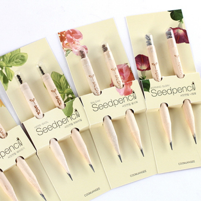 꿈쟁이 몽당씨앗연필 2p 식물기르기 리사이클링 연필, 나팔꽃