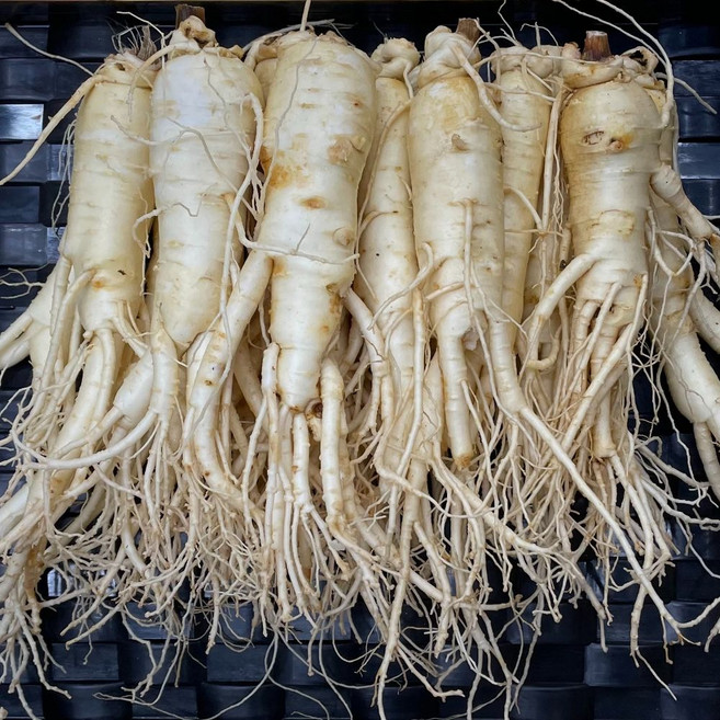 풍기인삼 6년근 세척 인삼 1kg 5년근 수삼 무료세척 풍기 한보인삼사, 250g, 1개, 250g