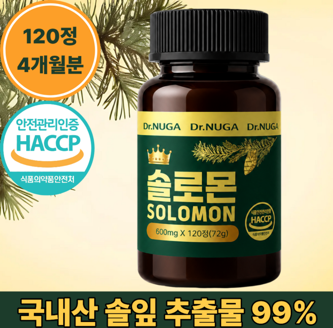 Dr. NUGA 국산 솔잎 추출물 솔로몬 정, 1세트, 120회분