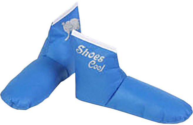 슈즈쿨 건조 탈취제 부츠키퍼 습기제거제 숯 제습제, 파랑, 1개