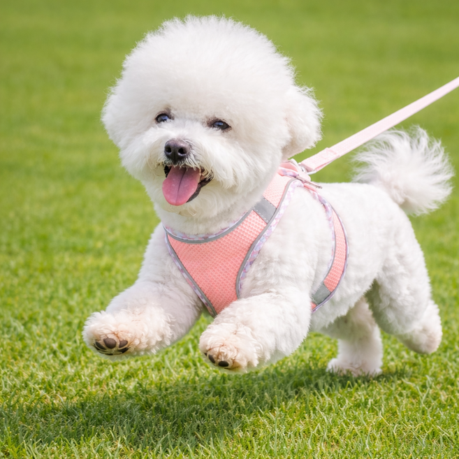 비오렌 통기성 강아지 하네스, 1개, 분홍
