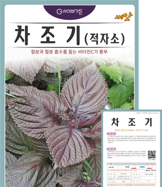 차조기 씨앗(500립) 적자소 철분과 철분흡수를 돕는 비타민C가 풍부한 향신채 식물 종묘 종자 영웅씨앗