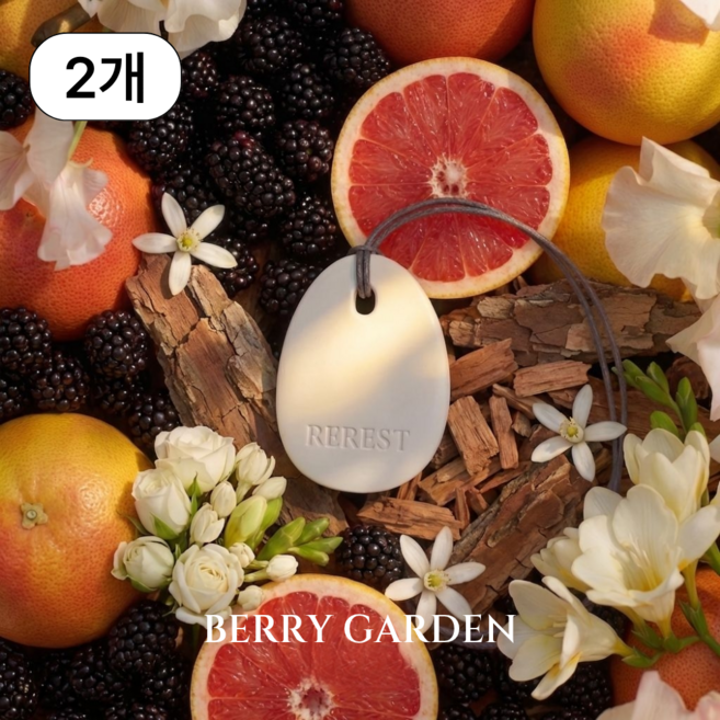 리레스트 명품 차량용 방향제 퍼퓸 테라코타 디퓨저, 베리가든, 2개