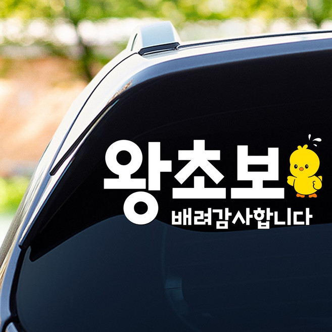 108studio 왕초보 병아리 배려감사합니다 차량스티커 30-D 미디움, 화이트+옐로우,D병아리-미디움, 1개