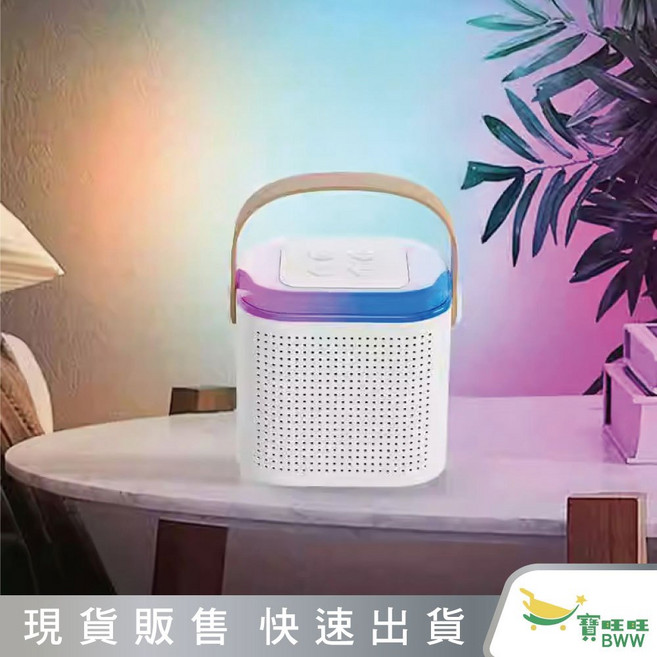 BWW Q&T 重低喇叭 SY-T5329D 頻雙喇叭 內建鋰電池 炫彩聲光 藍牙5.3