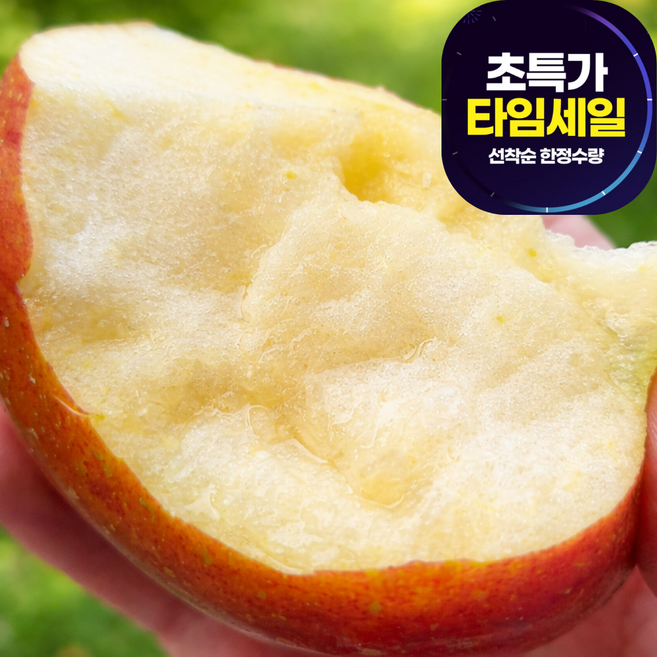 [30박스핫딜특가] 시장판매1위 고당도 사과 꿀사과, 1박스, 1kg