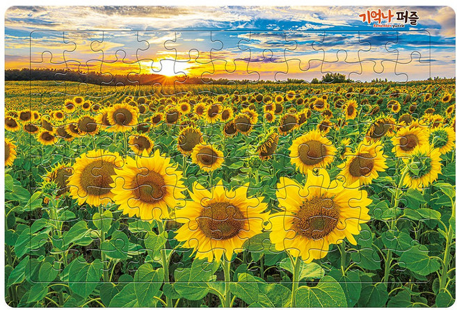 치매예방퍼즐 게임 기억나 88조각 해바라기 들판, 1개
