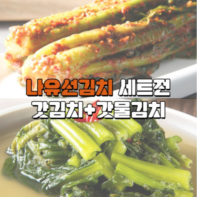 [나유선]삼채 갓김치1kg+갓물김치1kg 나유선 전라도 여수 돌산, 1kg, 2개